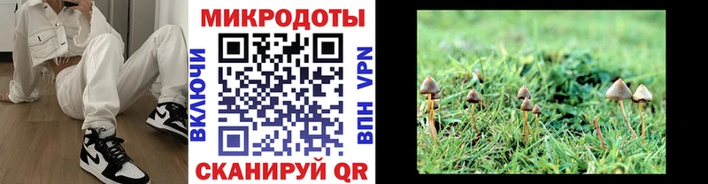 mega ССЫЛКА  нарко площадка как зайти  Краснослободск  Галлюциногенные грибы ЛСД  наркотики 